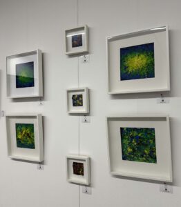 Scharein 25.11.2025 AE Kunstgalerie Bech